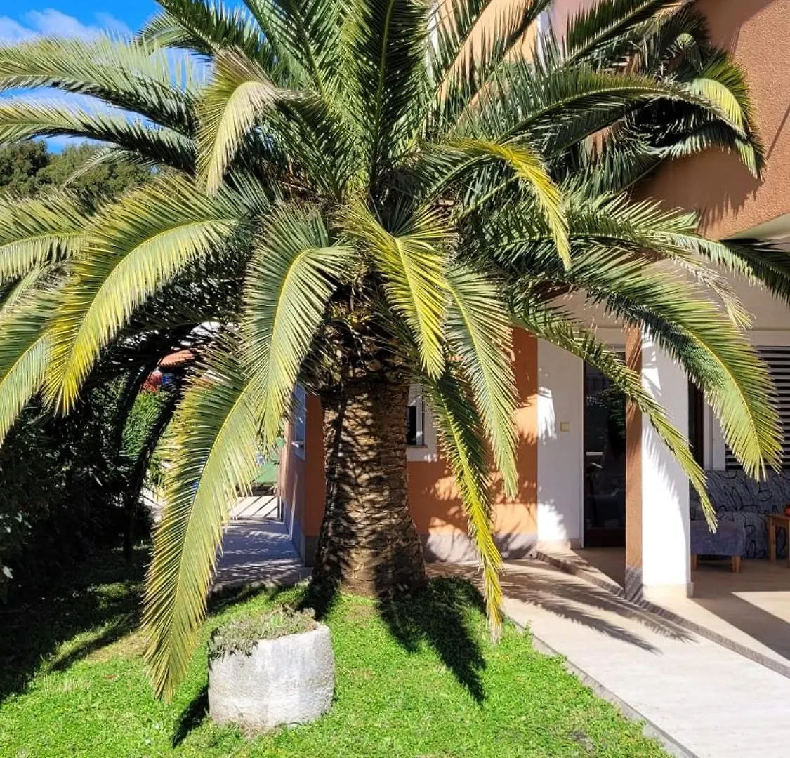 Casa Fidelia Apartments Rovinj